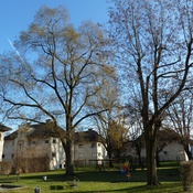 Sintstraße weiterbauen