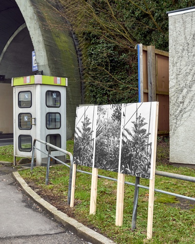 Intervention, Pio Rahner (AIR2017)