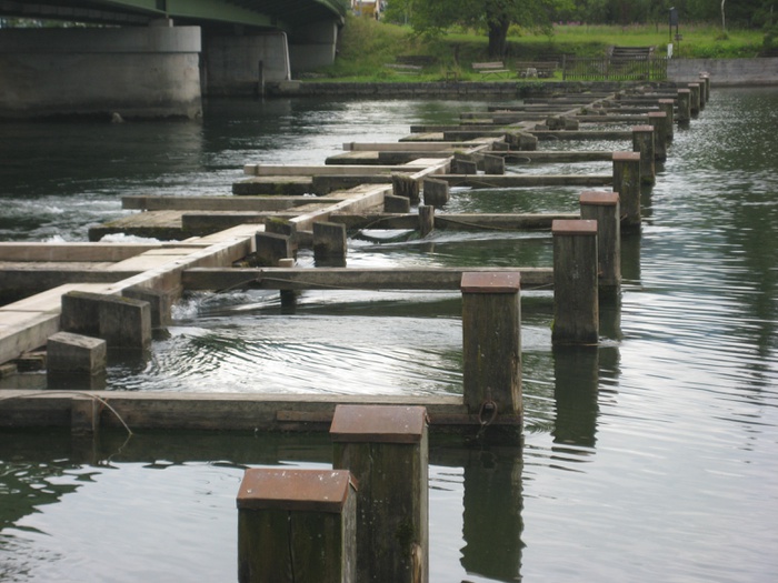 Seeklause in Steeg am Hallstättersee
