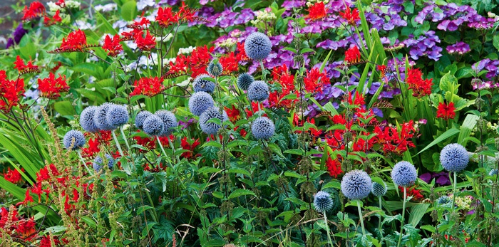 Kleine Zeitung_2015.04.05_ Die Stadt blüht wieder auf