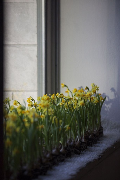 IM FREIEN – Tagung und Ausstellungseröffnung