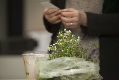 IM FREIEN… FINISSAGE