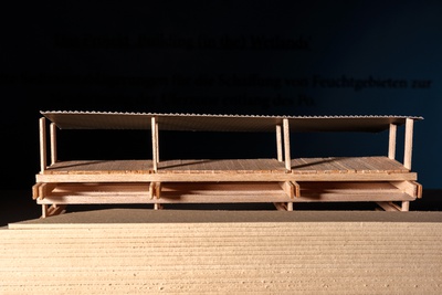 Projekt: Building (in the) Wetlands / Helen McFadden (Dublin)