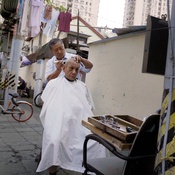 Homo Urbanus Shanghaianus