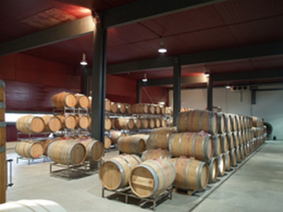 Weingut Beck – © Weingut Beck, Architektur und Foto: Halbritter & Hillerbrand Weingut Beck