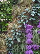 Detailaufnahme aus der Ausstellung "EINFACH GRÜN – Greening the City", DAM, Frankfurt, 2021