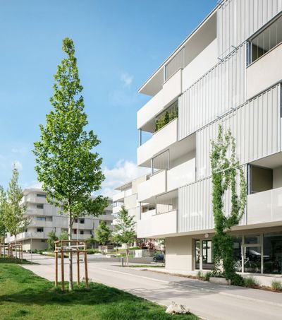 Bauherr:in:	Architekten Halbritter ZT GmbH Architektur:	Neue Eisenstädter gemeinnützige Bau-, Wohn- und Siedlungsgesellschaft  Freiraumplanung: Karin Graf Tragwerksplanung: DWP Ziviltechniker GmbH