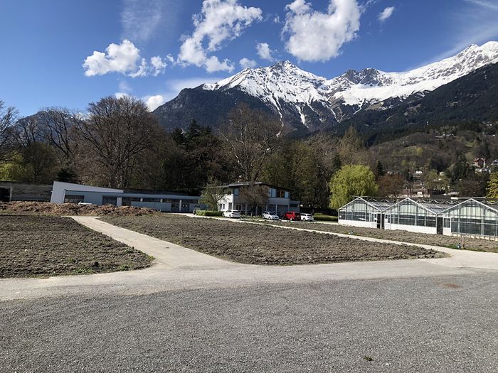 Ein möglicher neuer Standort für den Busparkplatz am angrenzenden Areal der Hofgarten-Gärtnerei